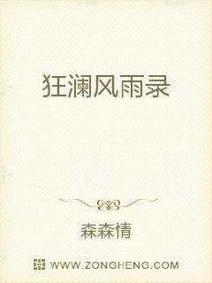 狂澜风雨录