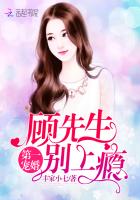 第一宠婚:顾先生,别上瘾